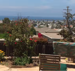 Guest suite in Ocean Beach